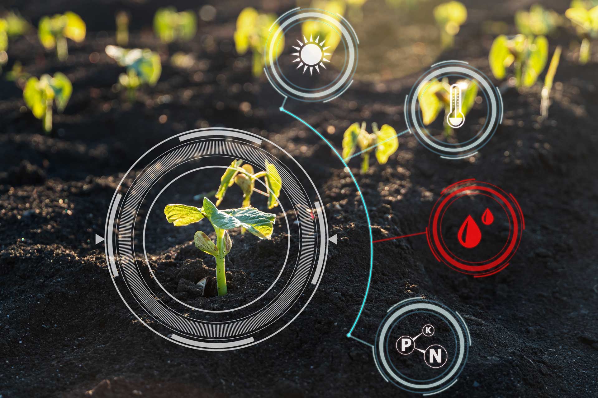 Crop Steering-precision-1